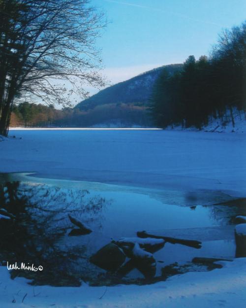 Blue Winter Pond