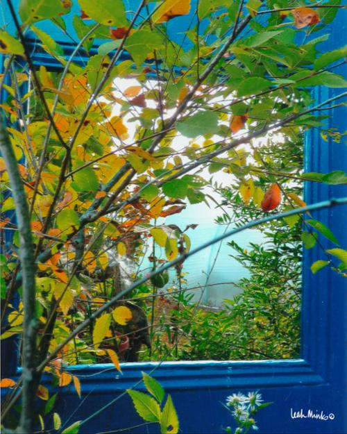 Blue Door Orange Leaves