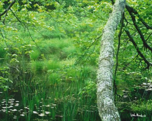 Claude Monets Pond